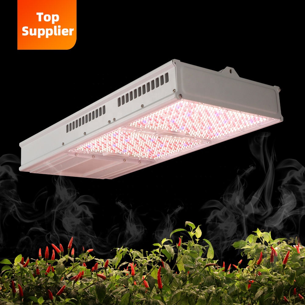 Plant Grow Light Full Spectrum - Lampe de culture LED intérieure économique