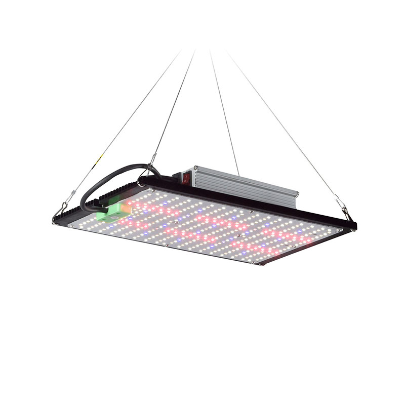 Plant Grow Light Full Spectrum - Lampe de culture LED Quantum-Board à