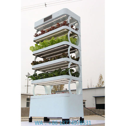 Smart Garden System - Systèmes de culture hydroponique pour la