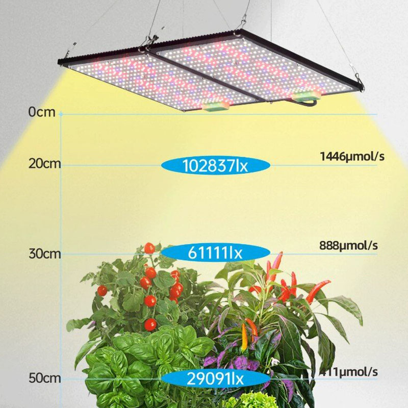 Lampe de culture LED Quantum-B - Plant Grow Light Full Spectrum avis et prix