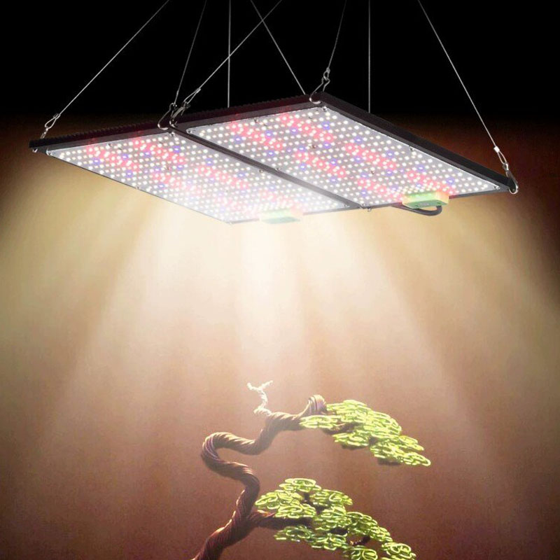 Lampe de culture LED Quantum-B - Plant Grow Light Full Spectrum avis et prix