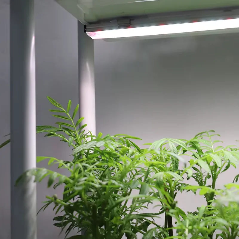 Jardinière intelligente vertic - Self Watering Planter avis et prix