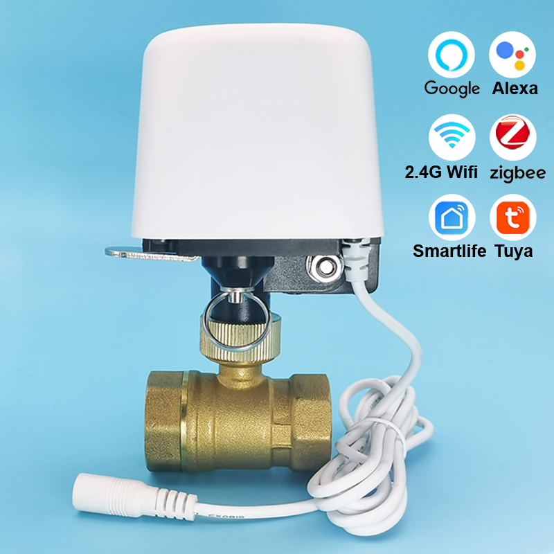 Vanne d'eau intelligente Tuya  - Smart Garden System avis et prix