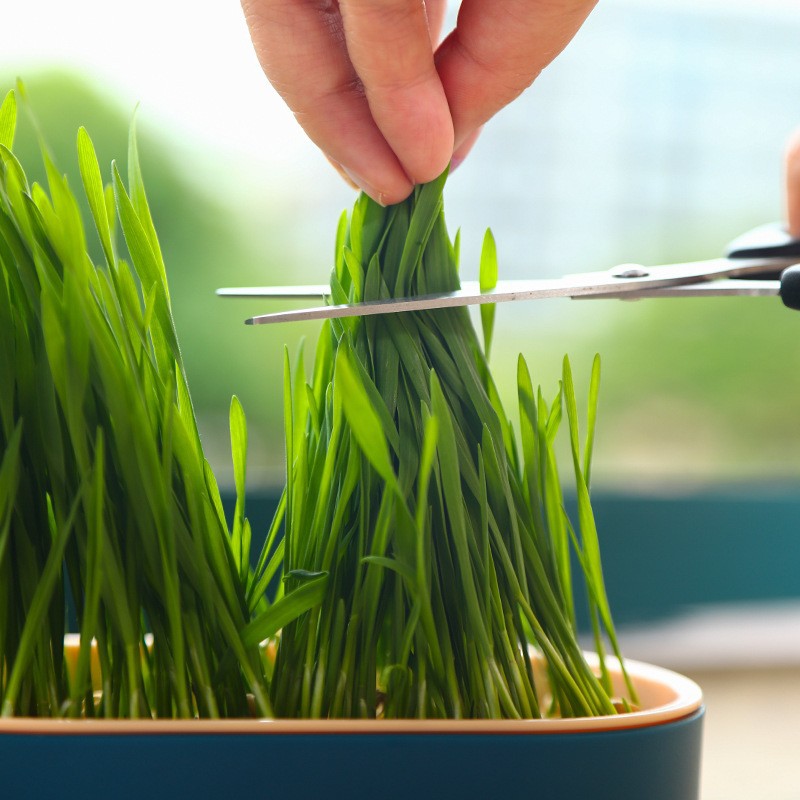 Fournitures pour animaux de co - Hydroponic Grow Pod avis et prix