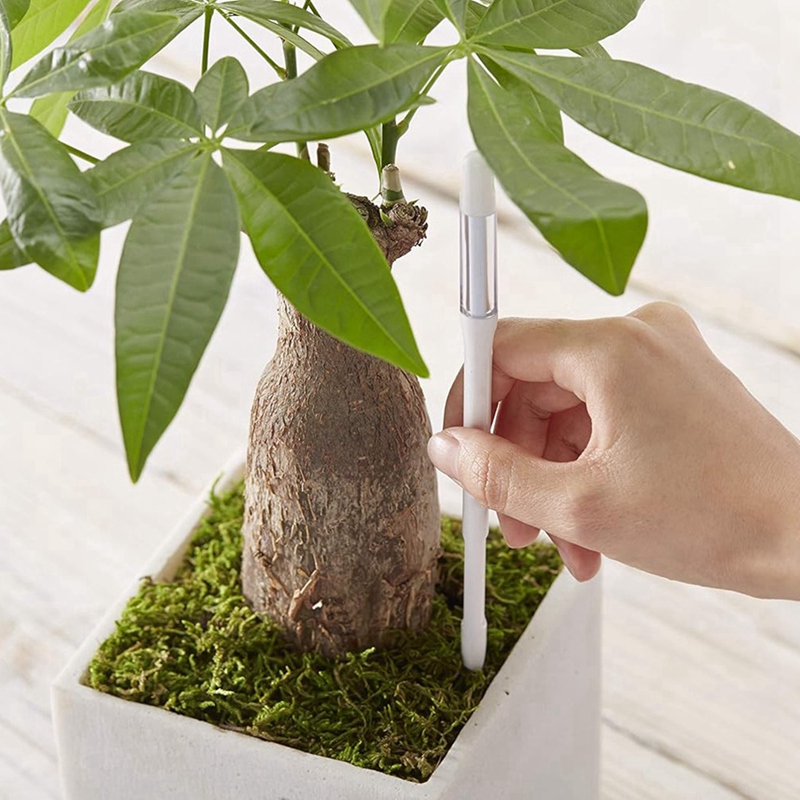 Aquameter, 5 pièces, capteur d - Plant Sensor avis et prix