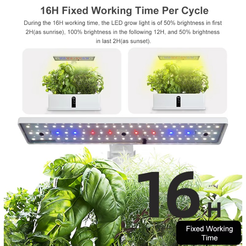 Système de culture hydroponiqu - Hydroponic Grow Pod avis et prix