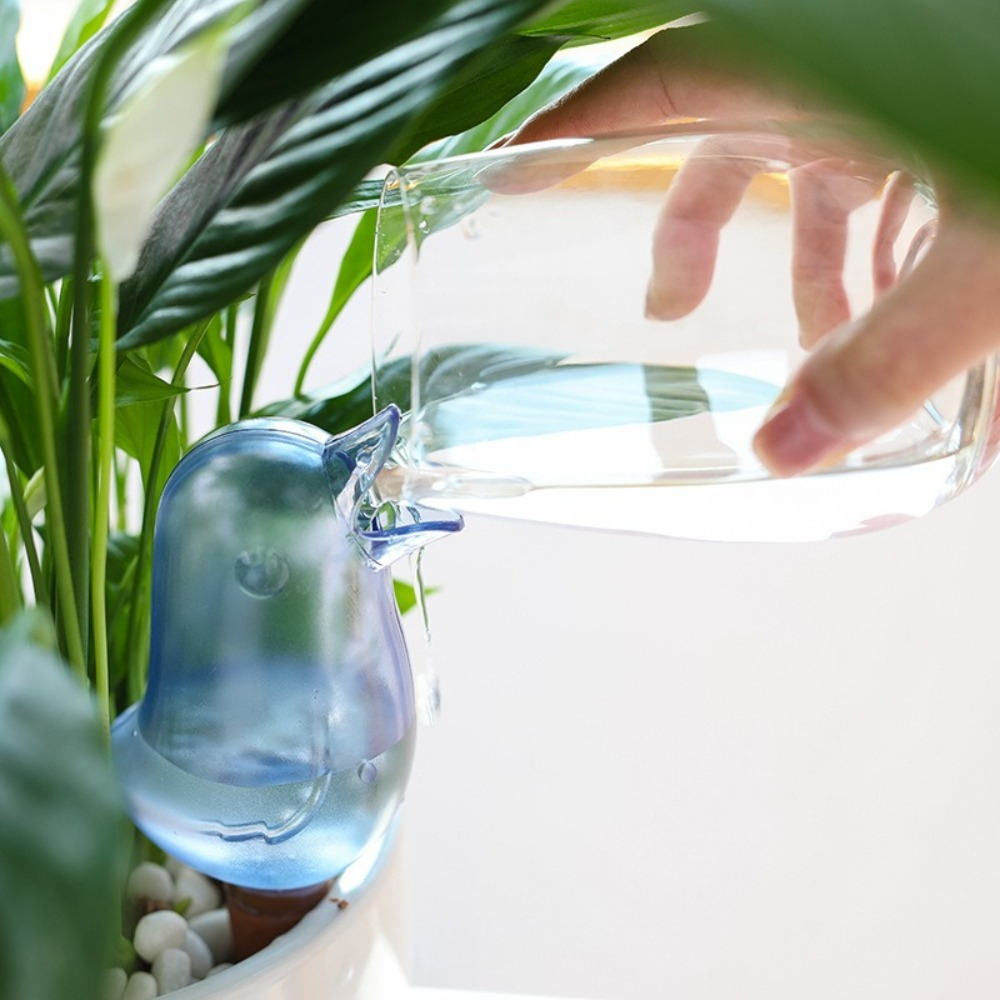 Dispositif d'arrosage automati - Self Watering Planter avis et prix