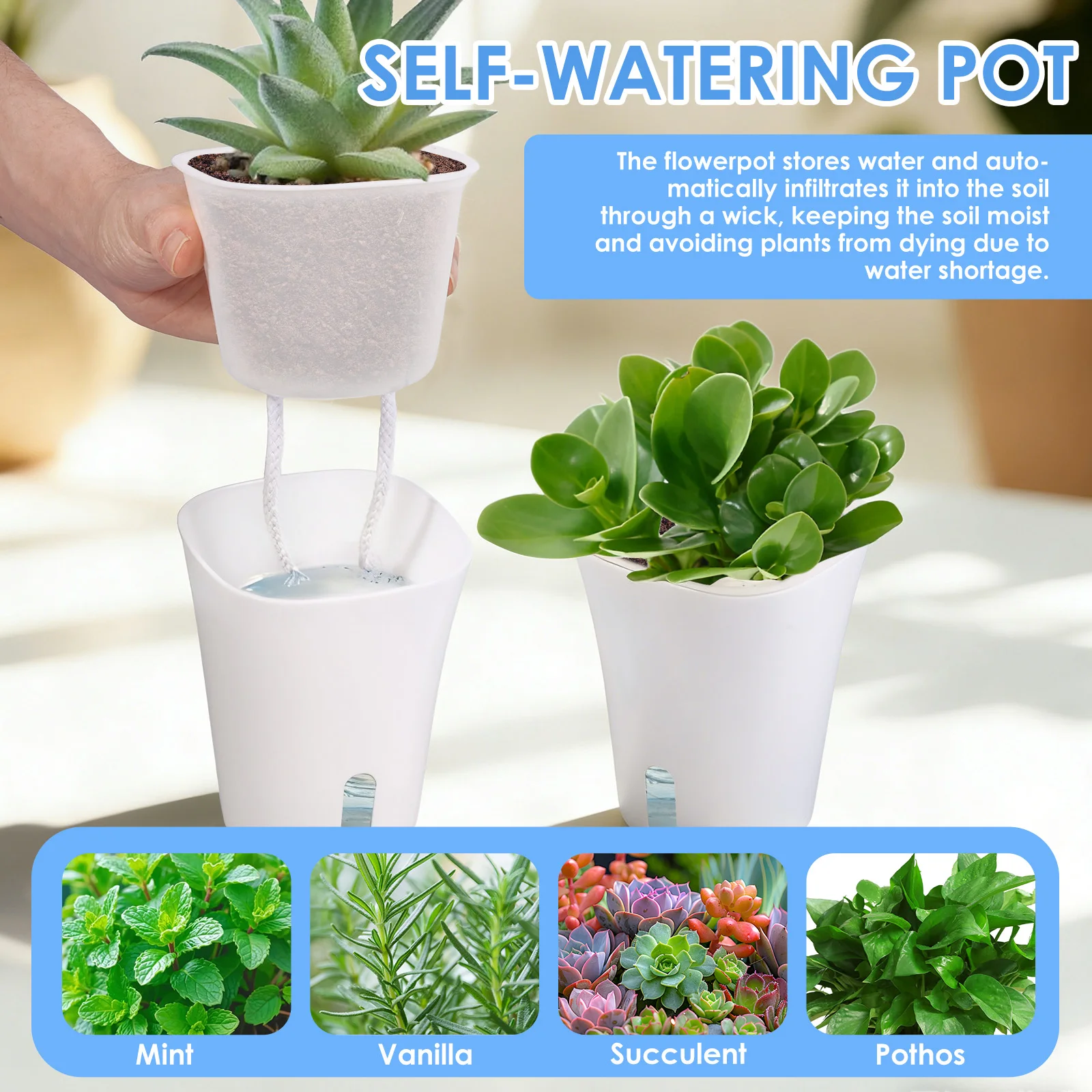 Lot de 10 pots de fleurs auto- - Hydroponic Grow Pod avis et prix