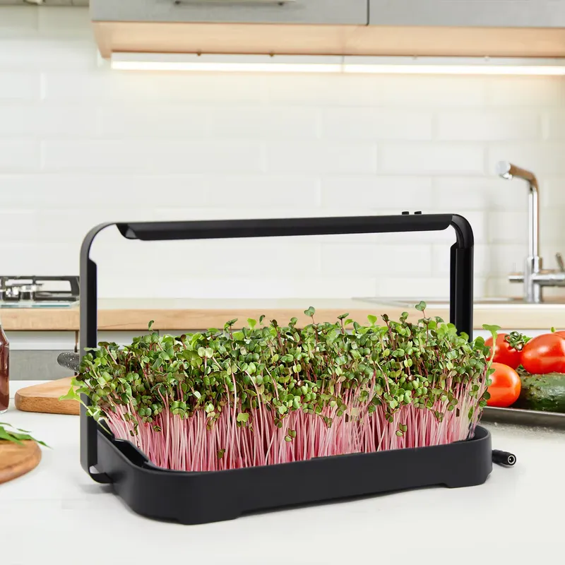 Bac hydroponique pour micro-lé - Smart Garden System avis et prix