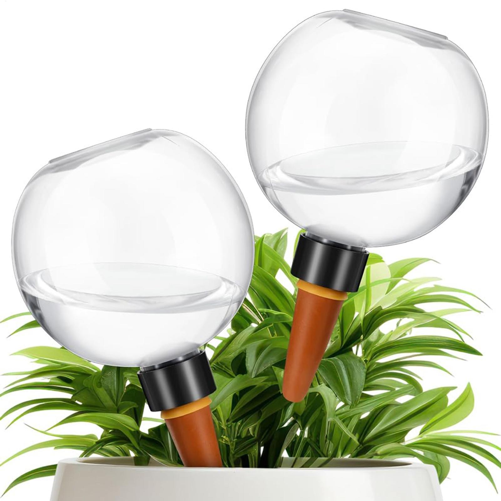 Ampoules d'arrosage automatiqu - Self Watering Planter avis et prix
