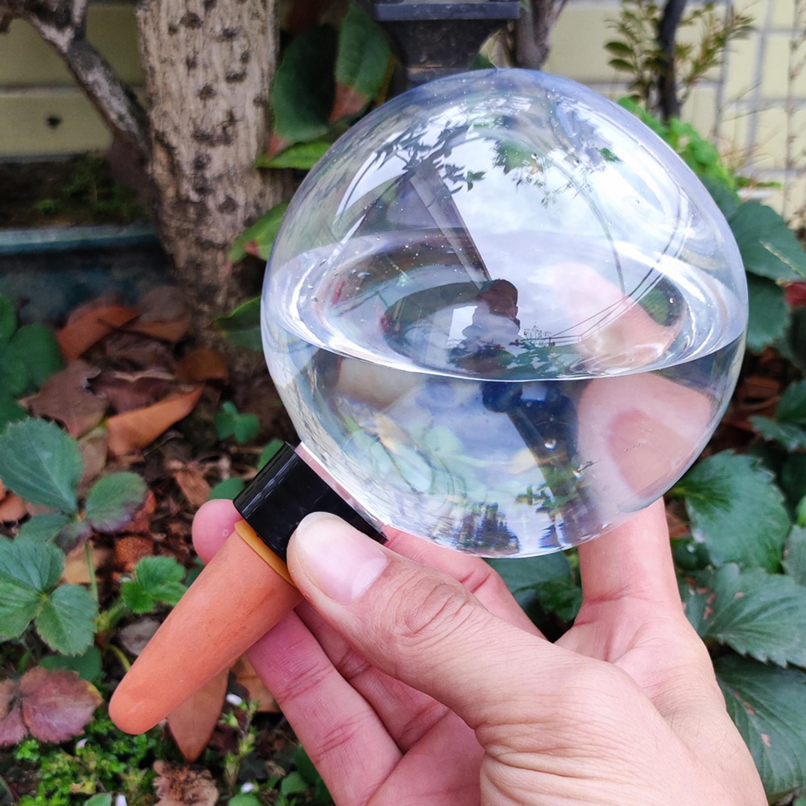 Ampoules d'arrosage automatiqu - Self Watering Planter avis et prix