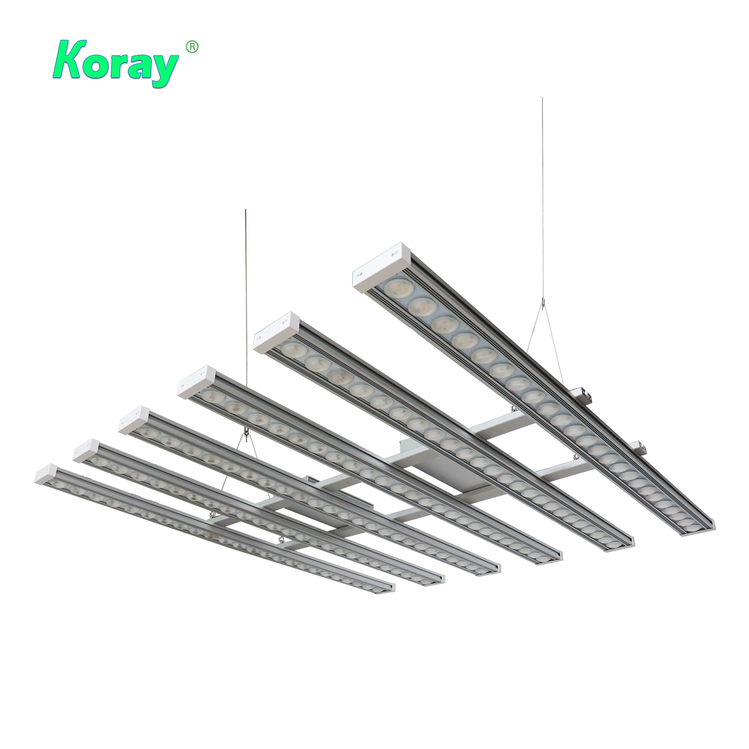 Koray 900W Lampe de culture in - Plant Grow Light Full Spectrum avis et prix