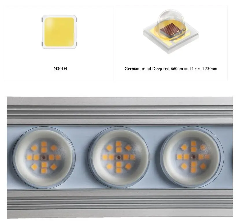 Koray 900W Lampe de culture in - Plant Grow Light Full Spectrum avis et prix