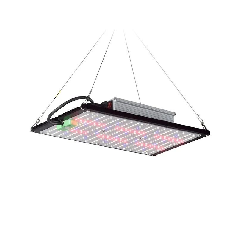 Lampe de culture LED Quantum-B - Plant Grow Light Full Spectrum avis et prix